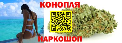 дмт Краснодар