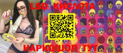 прущие грибы Комсомольск-на-Амуре