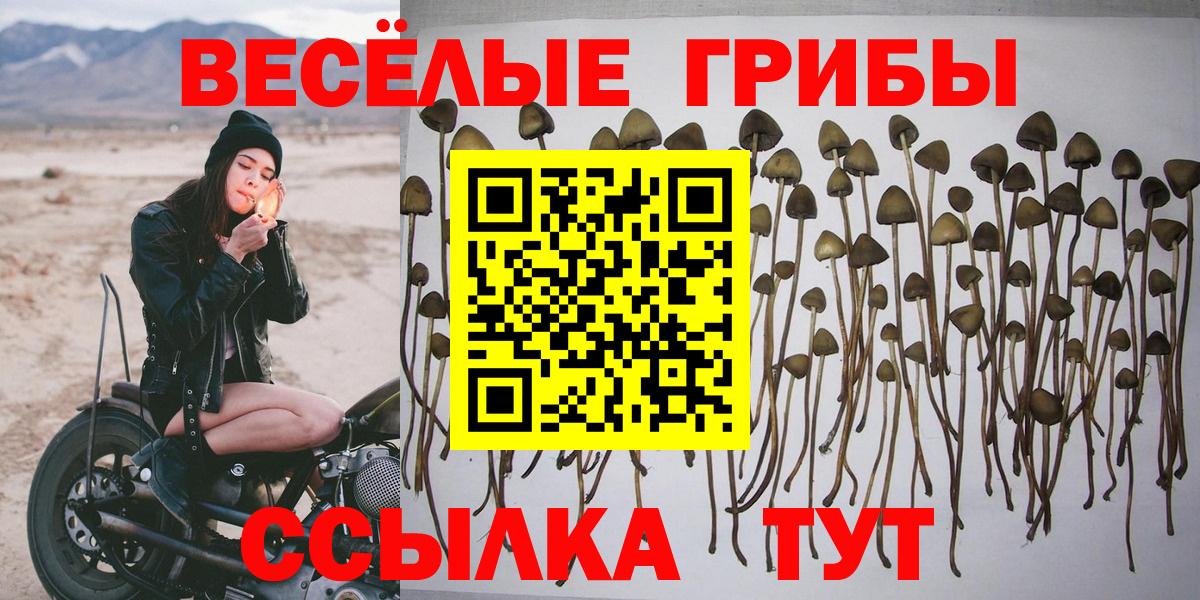 Псилоцибиновые грибы GOLDEN TEACHER  Вход с VPN  Ипатово  Галлюциногенные грибы MAGIC MUSHROOMS 