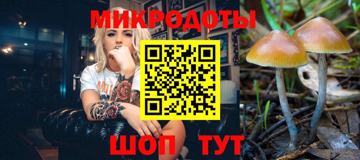 Галлюциногенные грибы Cubensis Ипатово